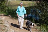Exercise is a treatment for osteoarthritis