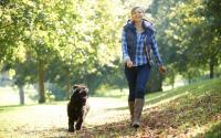 Unstructured physical activity promotes positive health outcomes