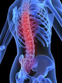 low back pain, chronic pain, fibromyalgia, arthritis, health problems, knee pain, seniors, autoimmune